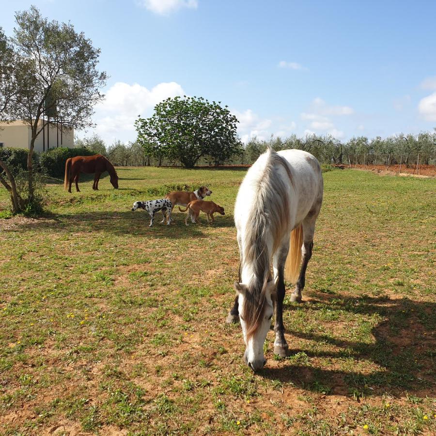 Finca-Vallestares アルモンテ エクステリア 写真
