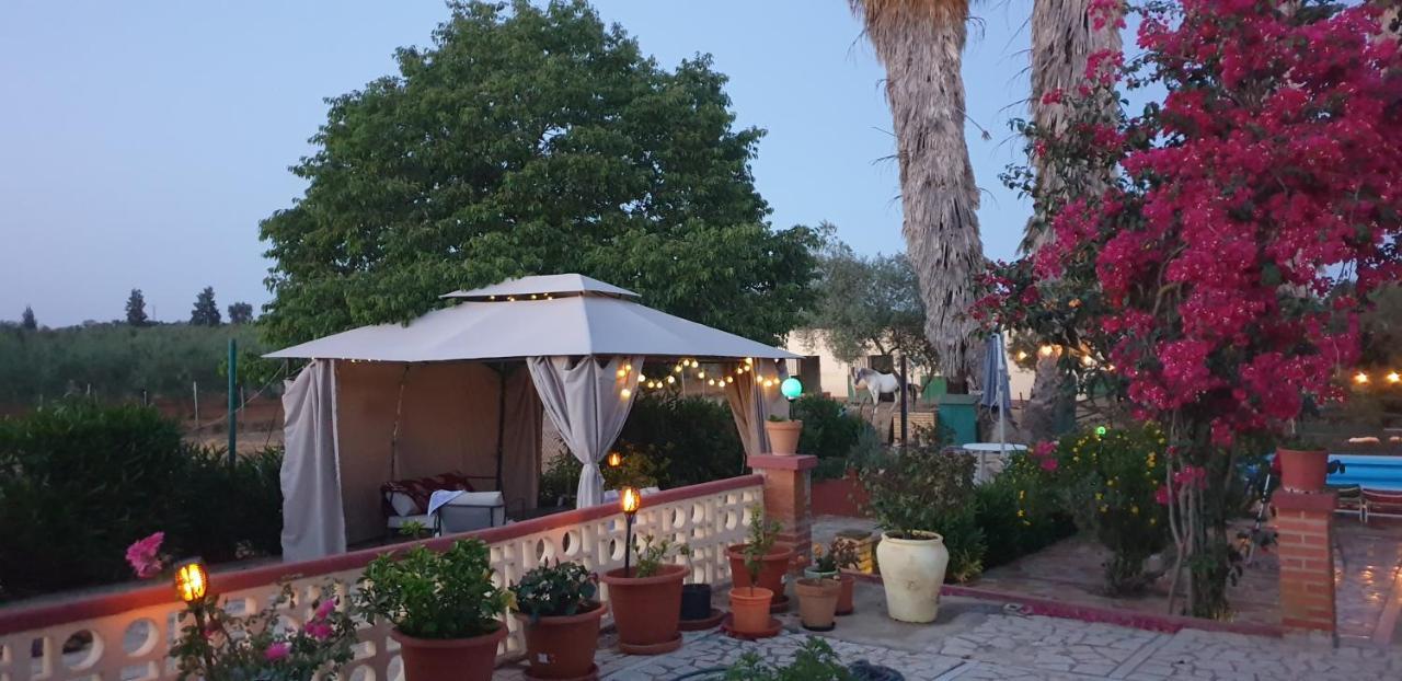 Finca-Vallestares アルモンテ エクステリア 写真