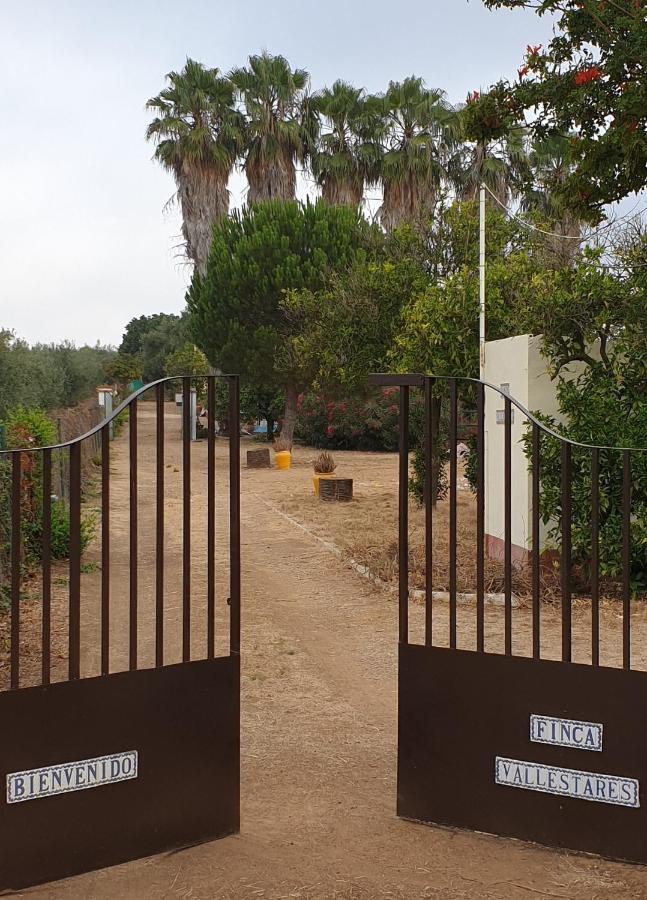 Finca-Vallestares アルモンテ エクステリア 写真